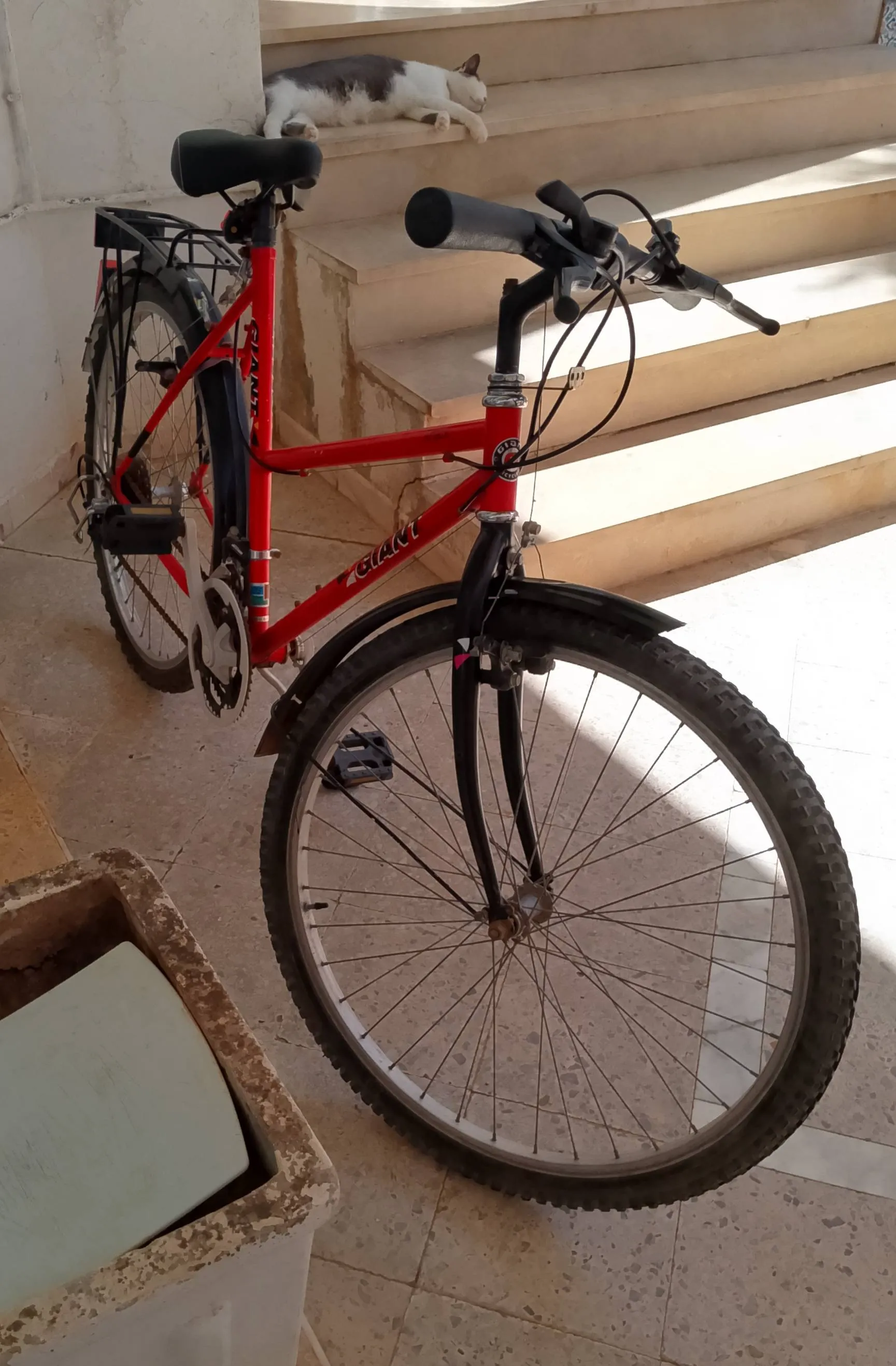 Échange Vente Vélo