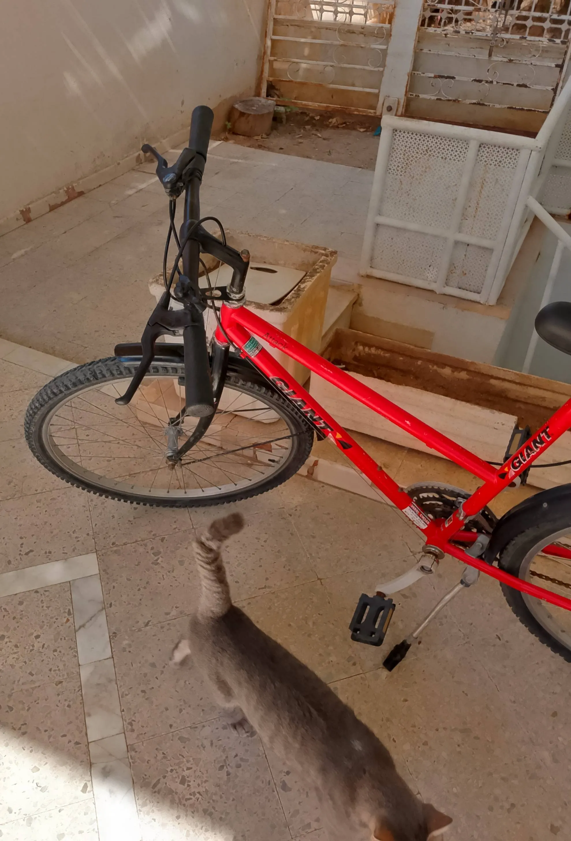 Échange Vente Vélo