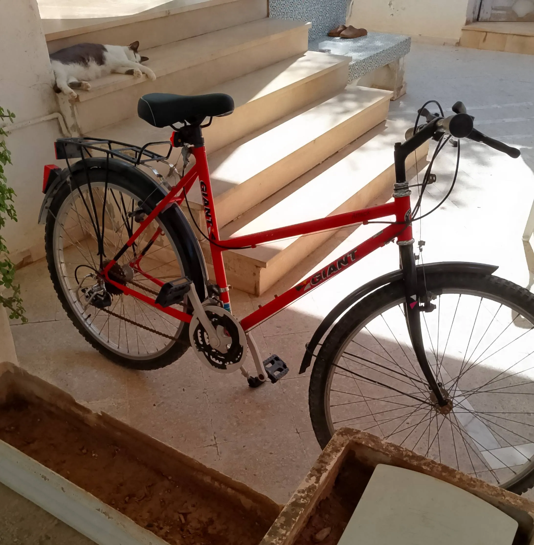 Échange Vente Vélo