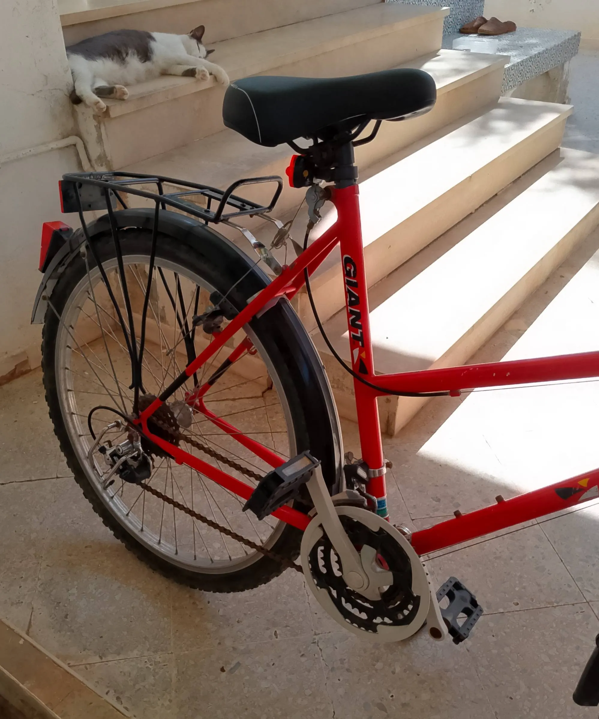 Échange Vente Vélo