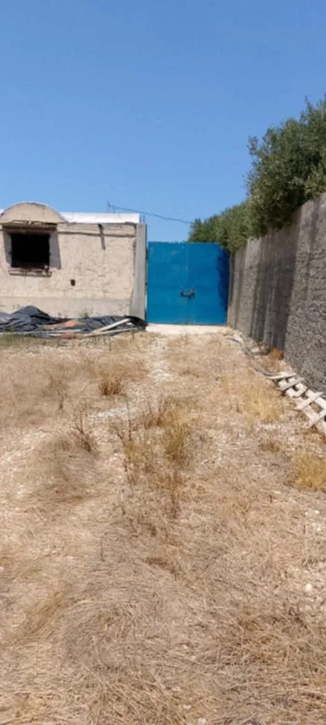 firme à vendre sur la route principale de Hriza Bizerte 