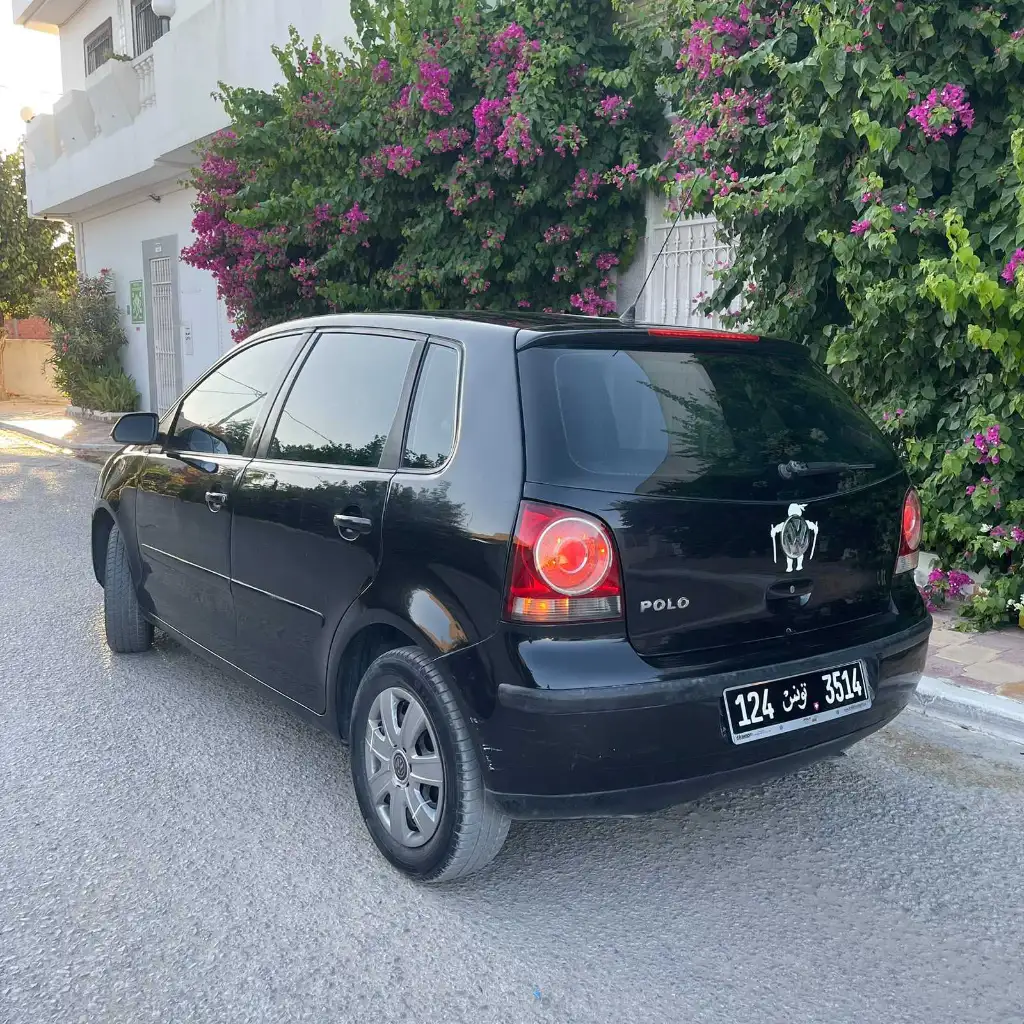 Polo 6