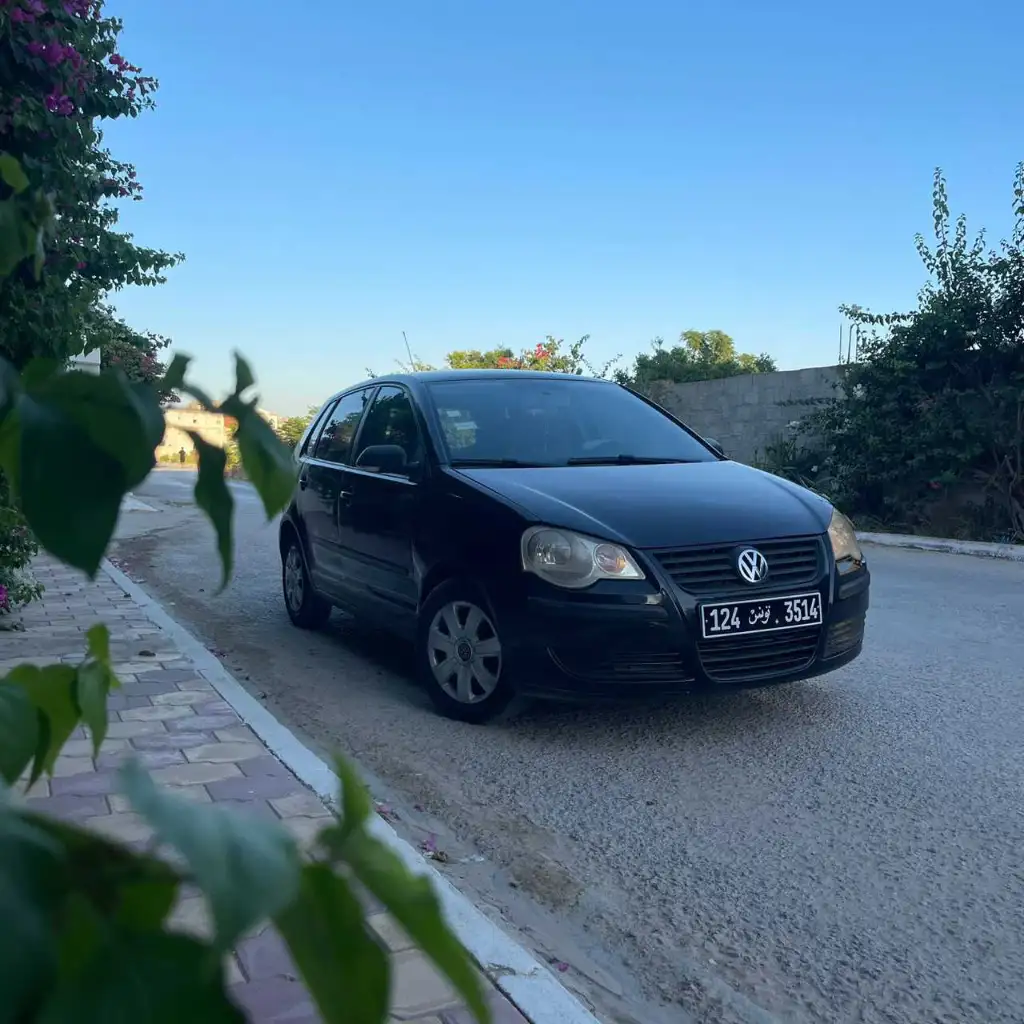 Polo 6