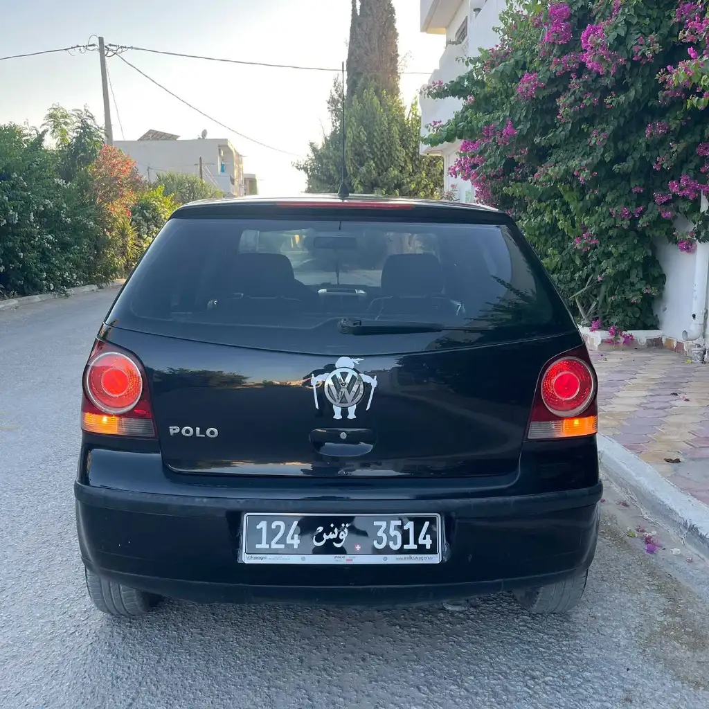 Polo 6