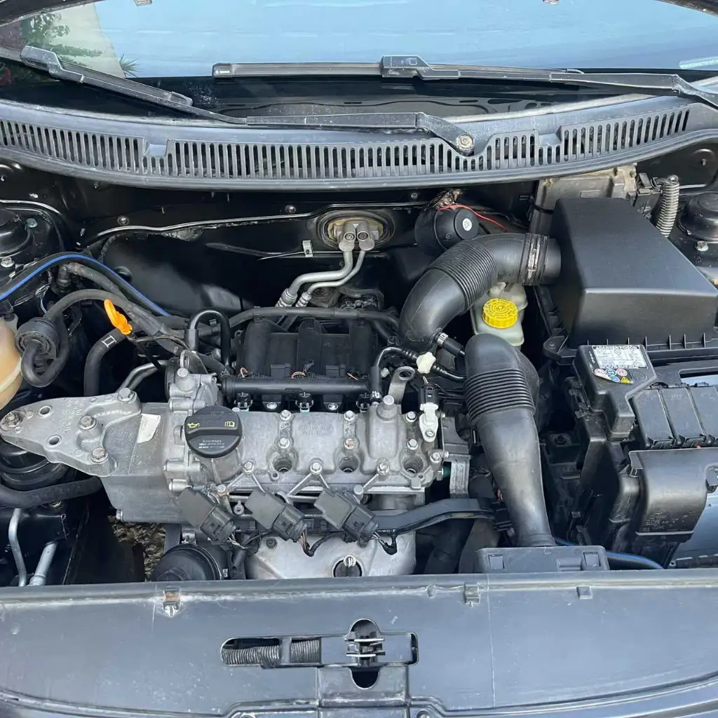 Polo 6