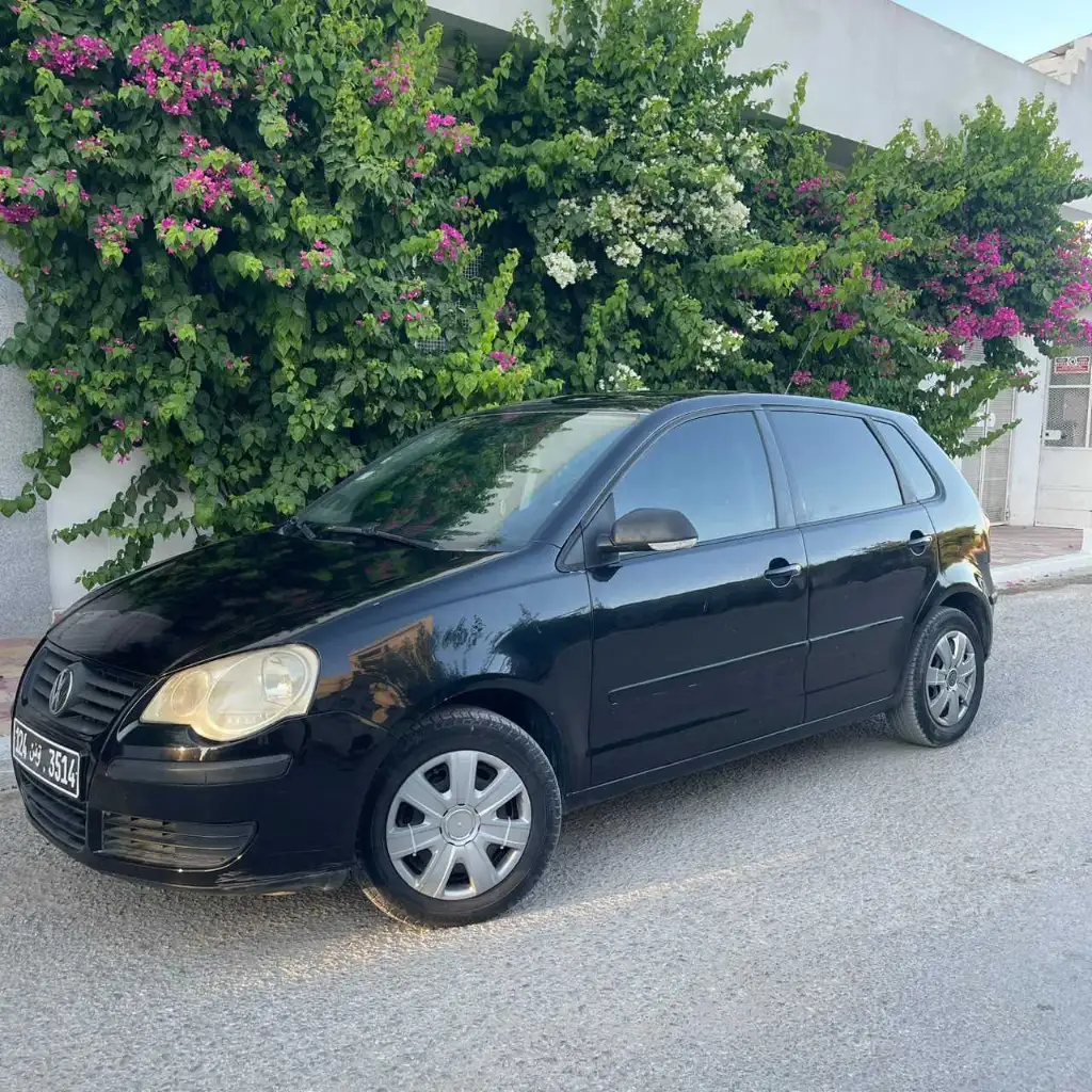 Polo 6