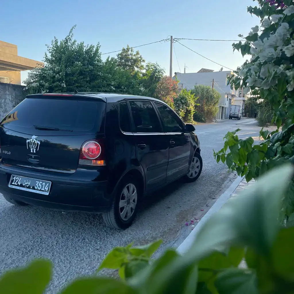 Polo 6