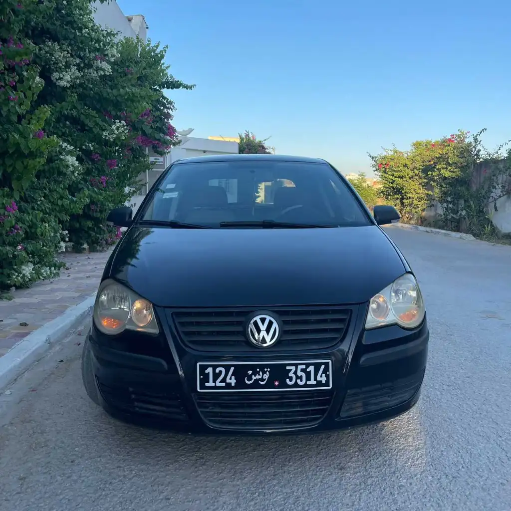 Polo 6