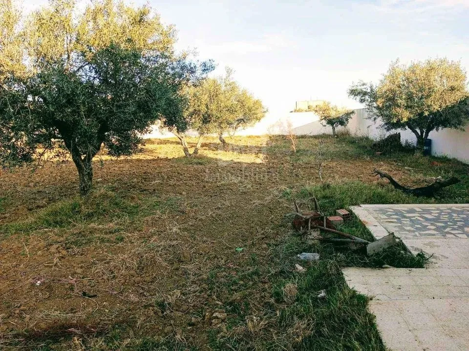 Un terrain de 2100 m² avec 1 studio à Hammamet Sud à vendre 51355351