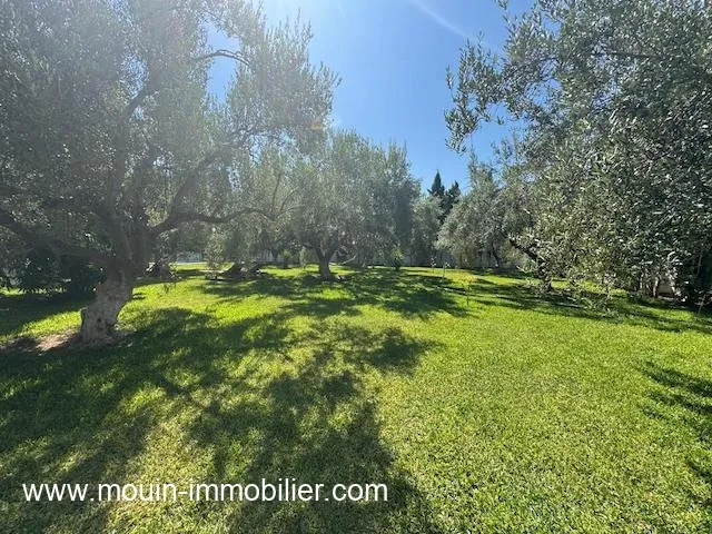 VILLA SUNSHINE Hammamet Nord Mrezka AL3590