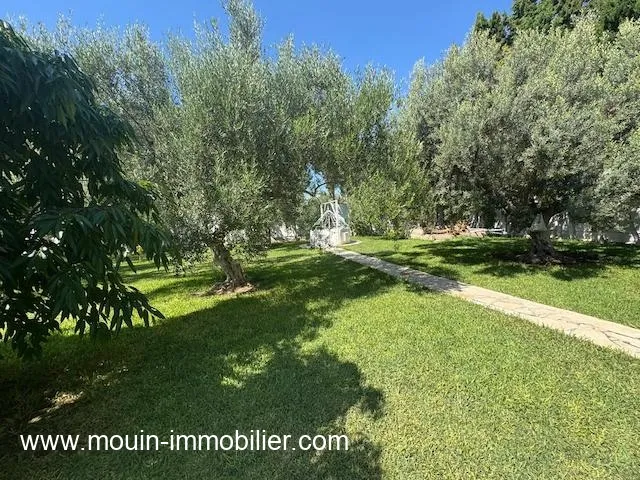 VILLA SUNSHINE Hammamet Nord Mrezka AL3590