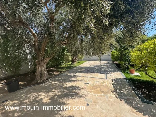 VILLA SUNSHINE Hammamet Nord Mrezka AL3590