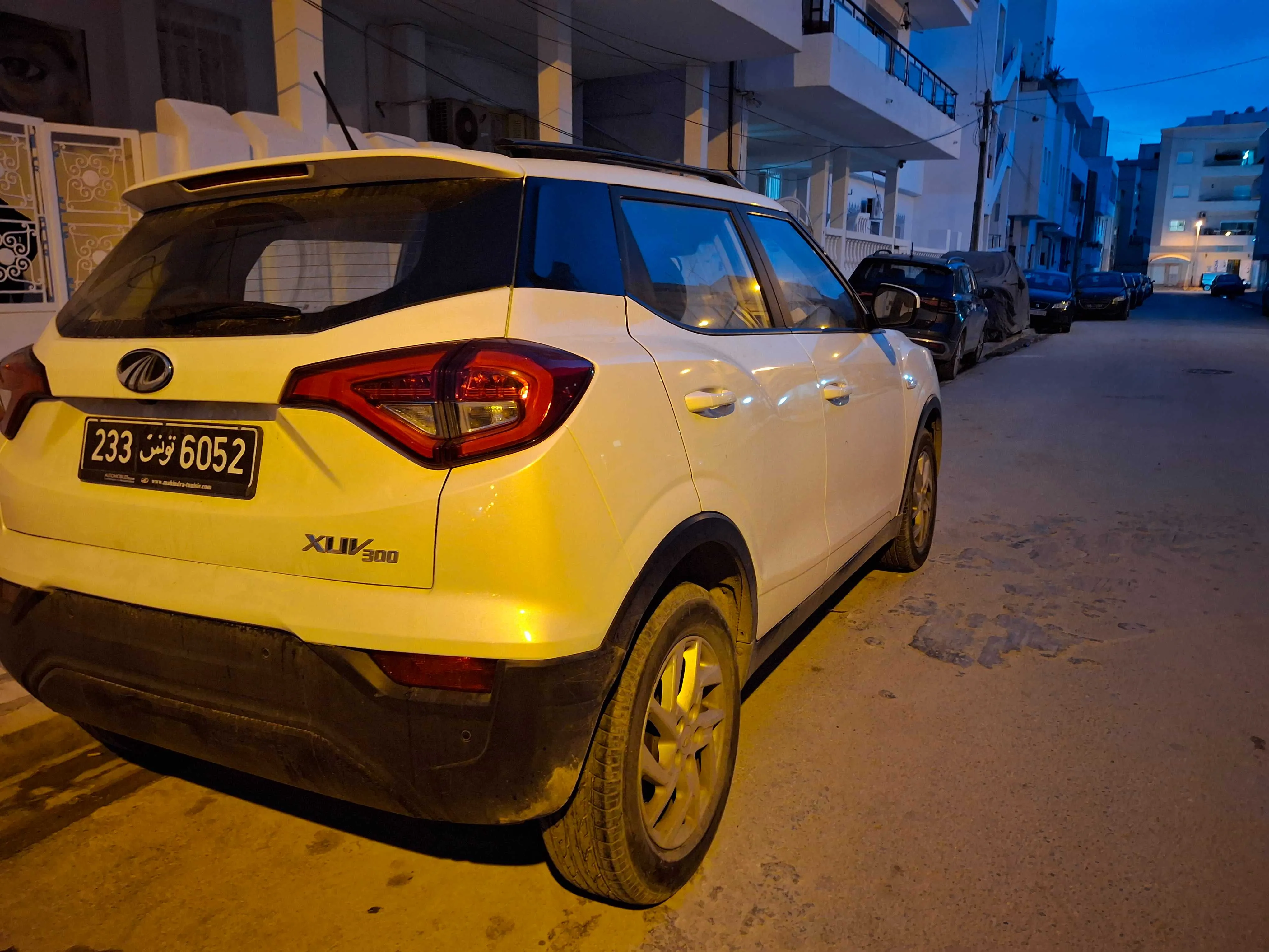 Mahindra xuv 300 W6