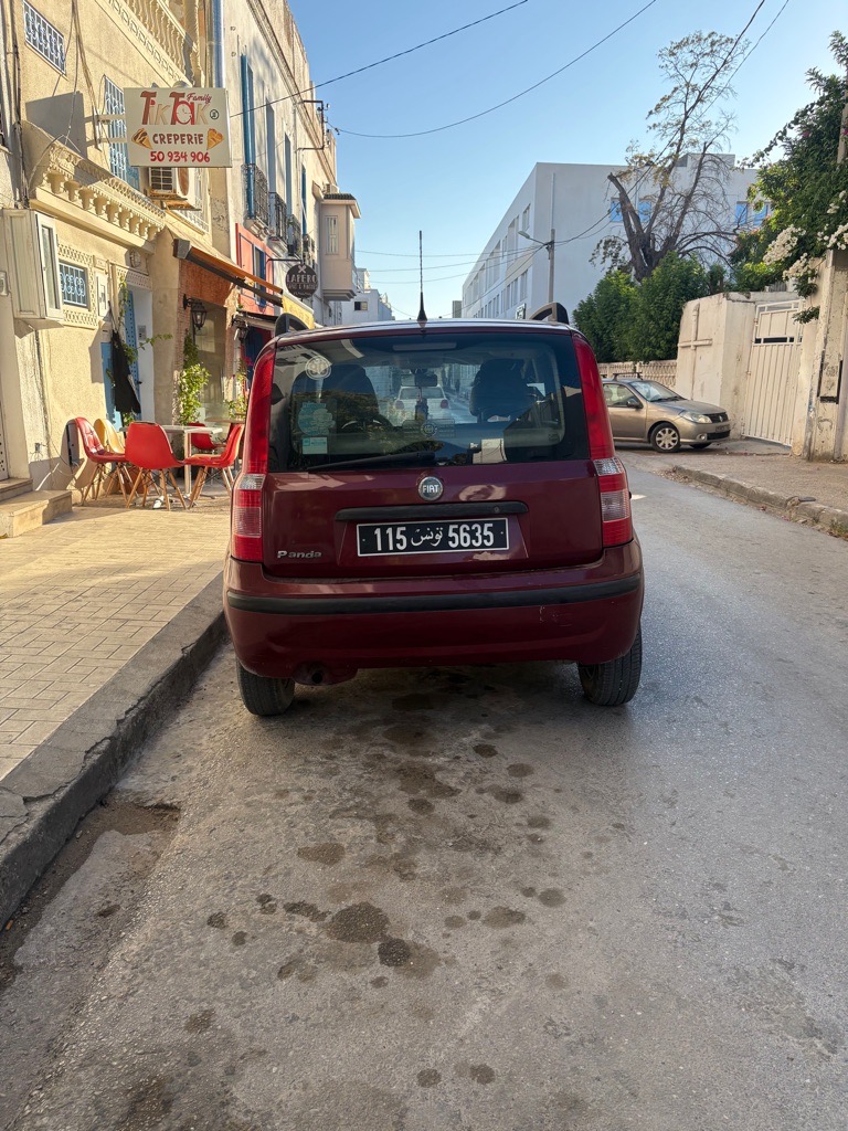 Fiat panda 