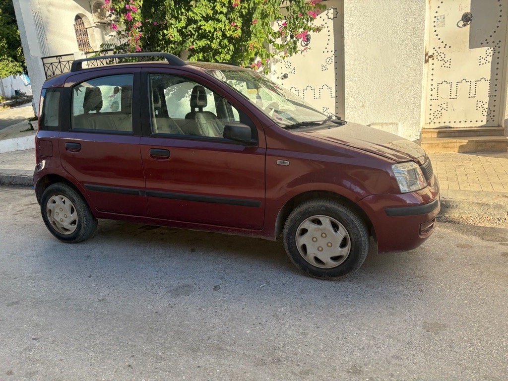 Fiat panda 