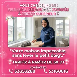 femme de menage par jour ariana superieur