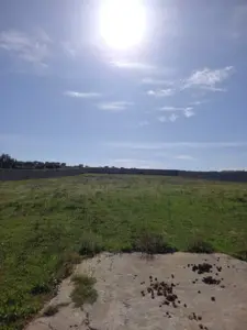 Forfait PRIX EXTRÊMEMENT NÉGOCIABLE Terrain entièrement clôturé de 8200m² à HAMMAMET 