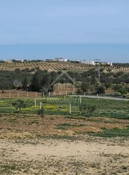 Terrain de 2851 m² à Hammamet Sud à vendre à 185 MD 51355351