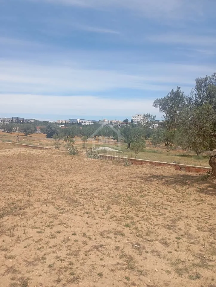 Terrain de 2000 m² à Hammamet Sud à vendre 51355351