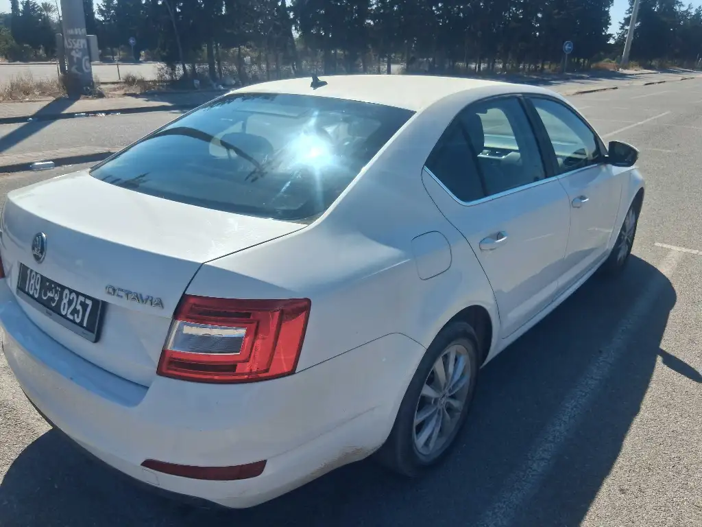 Skoda octavia