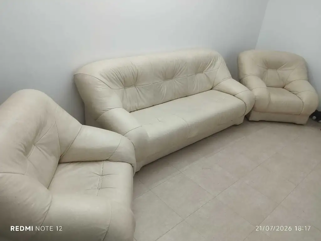 Salon en cuir