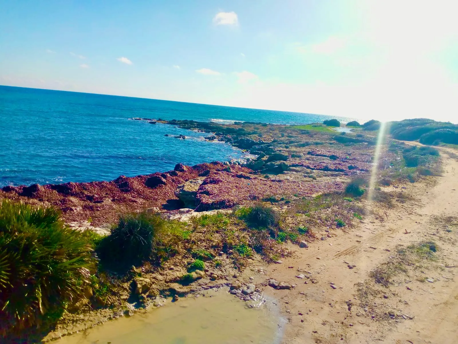 terrain a karkouen pied dans l'eau