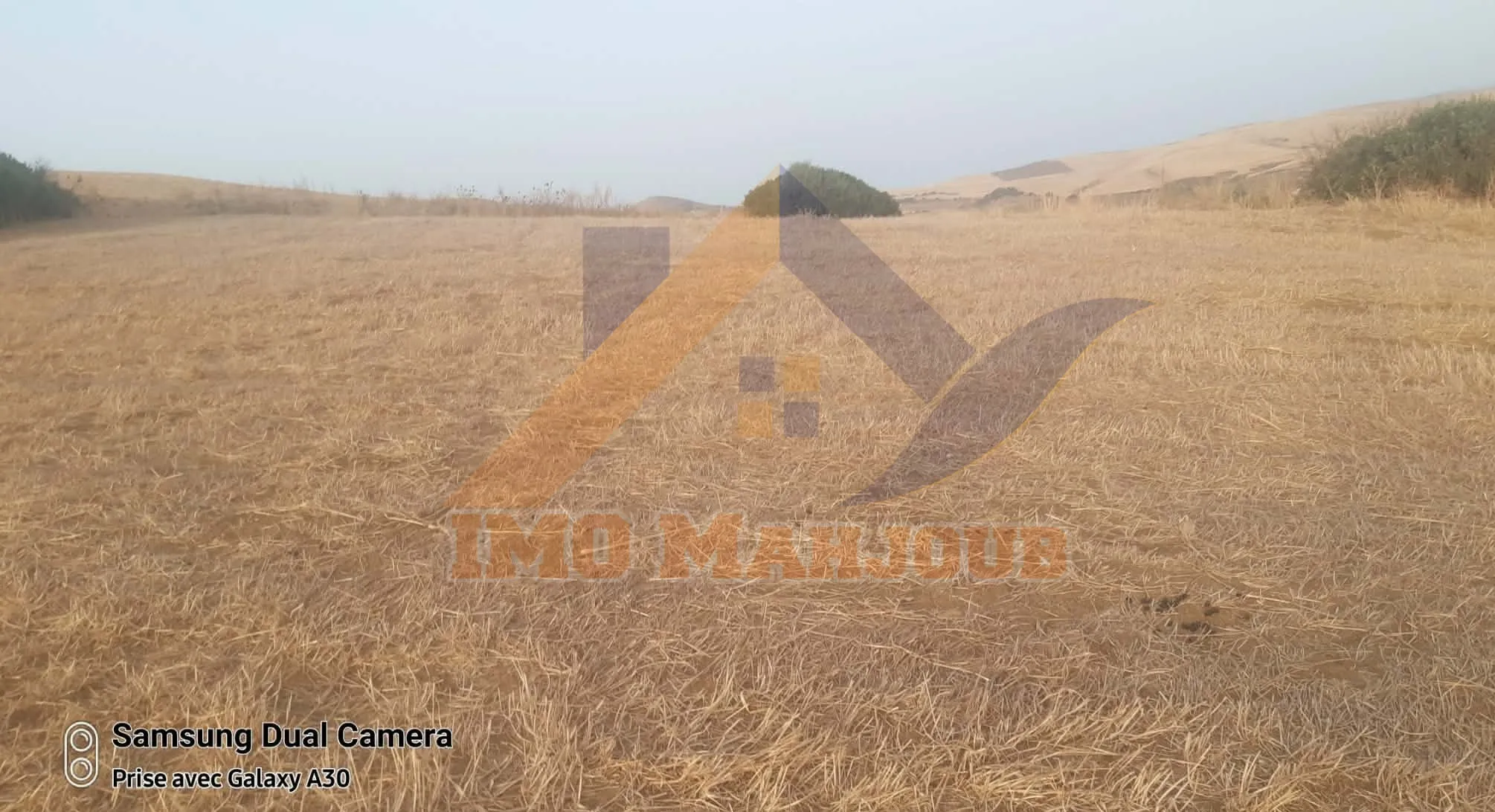 Terrain agricole 12 hectares titre foncier
