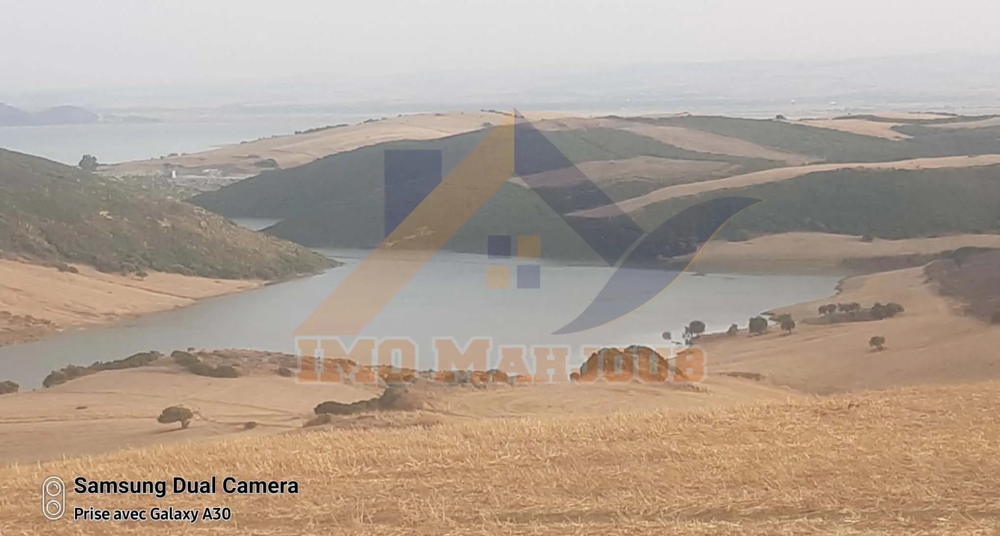 Terrain agricole 12 hectares titre foncier