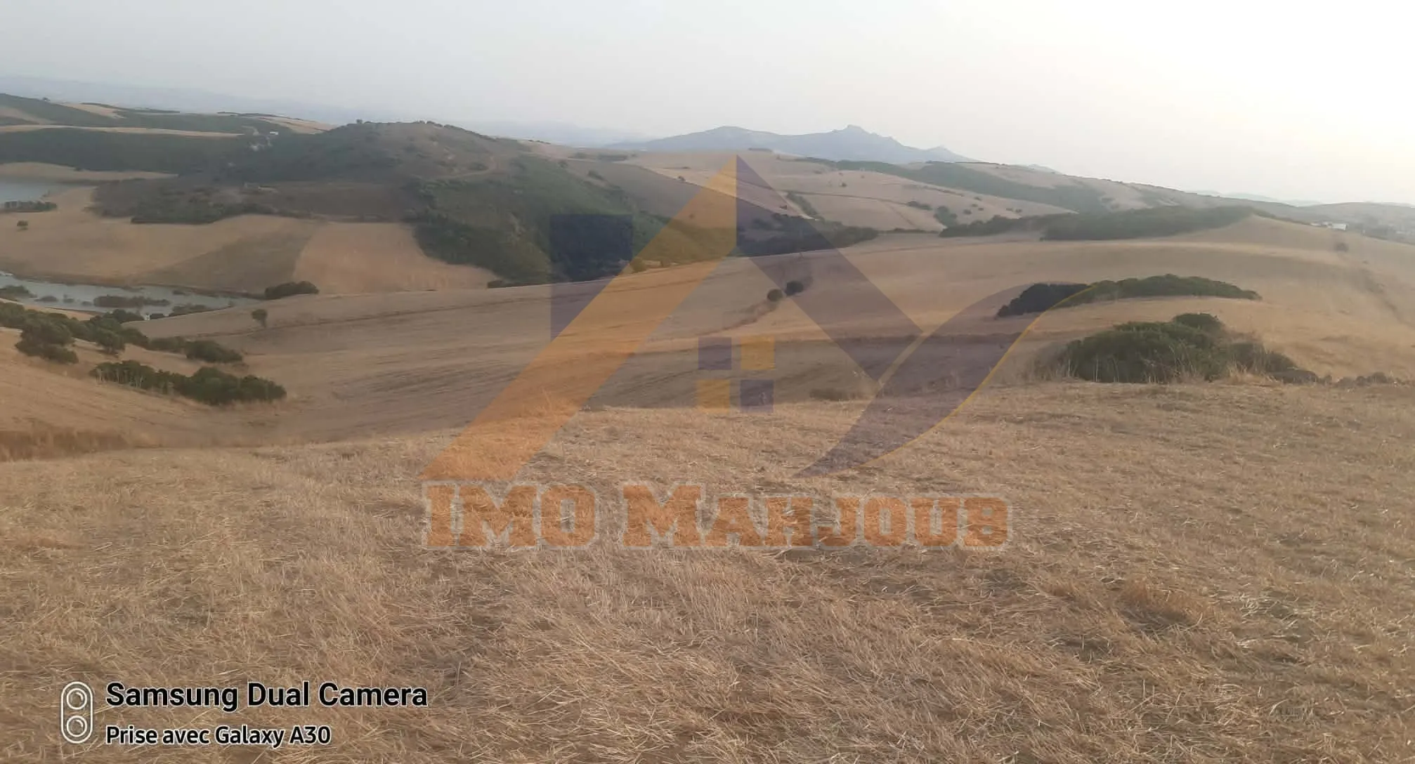 Terrain agricole 12 hectares titre foncier