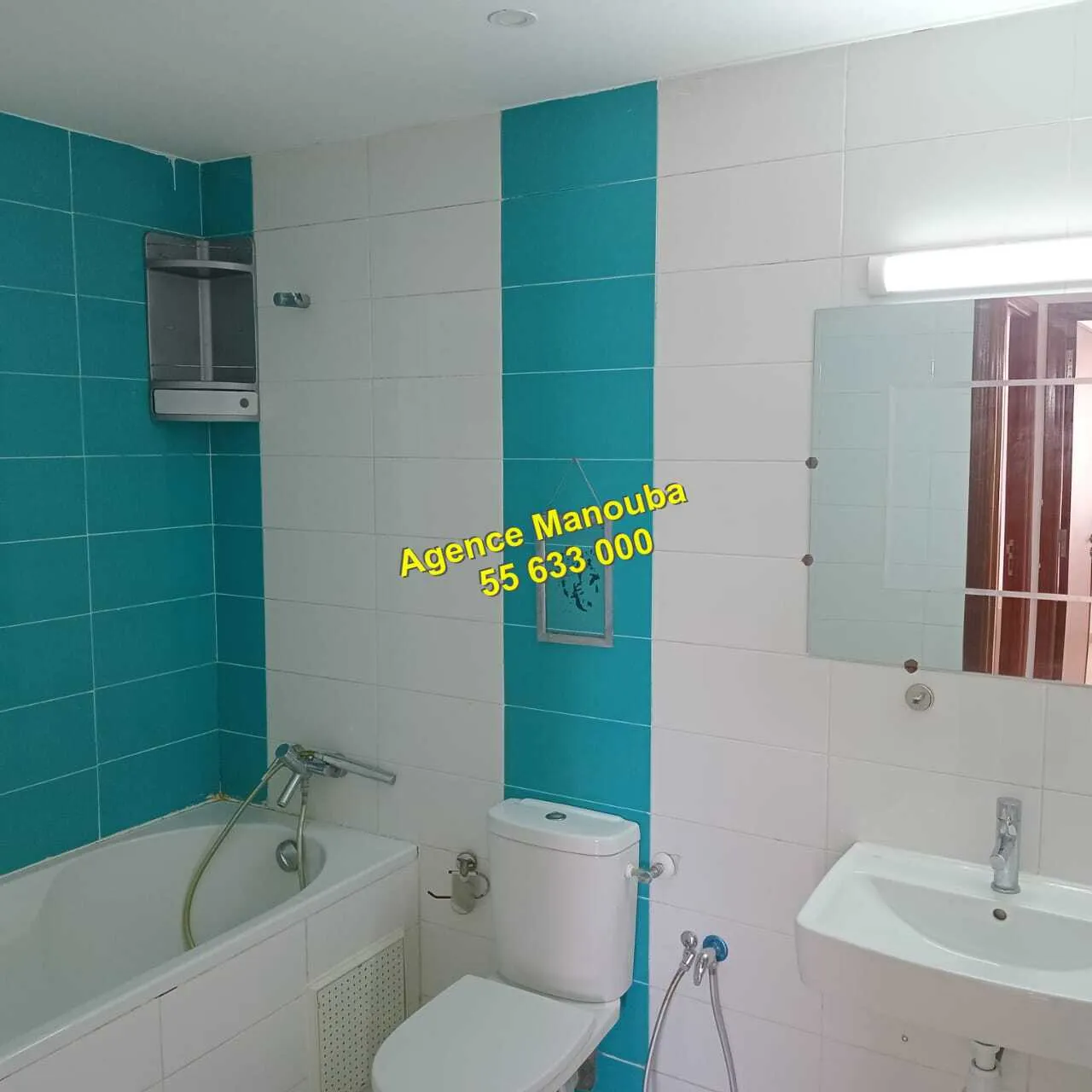 appartement haute standing