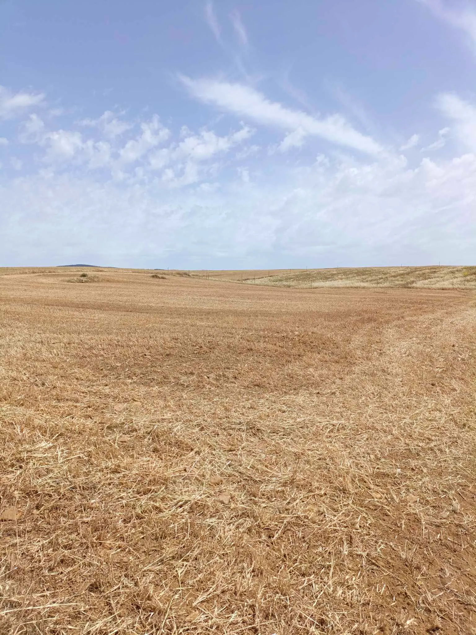 AV terrain 4900m à hammamet sud 99958728