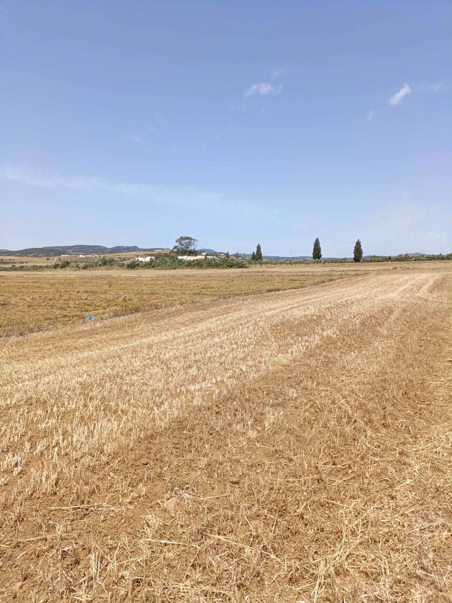 AV terrain 4900m à hammamet sud 99958728