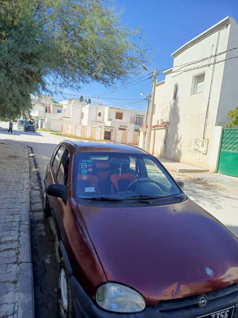 Opel swing