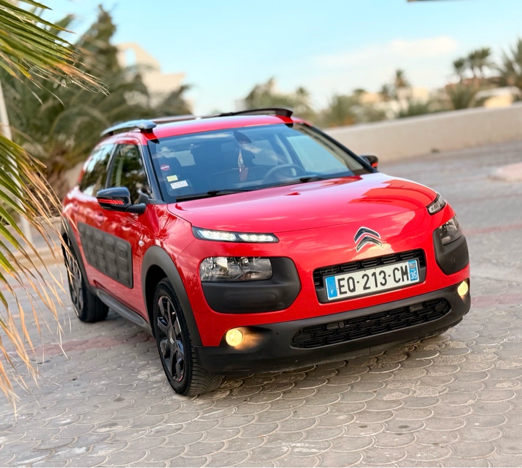 C 4 cactus 