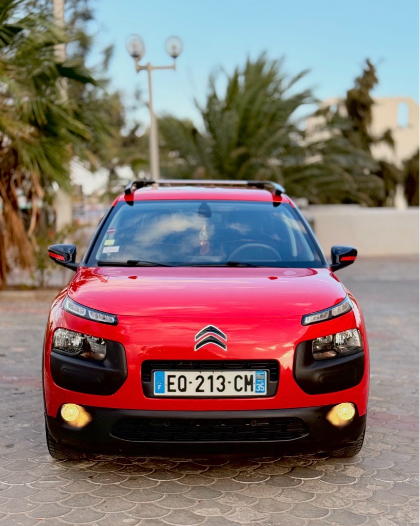 C 4 cactus 