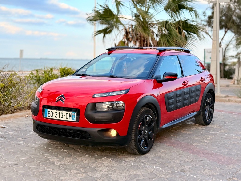 C 4 cactus 
