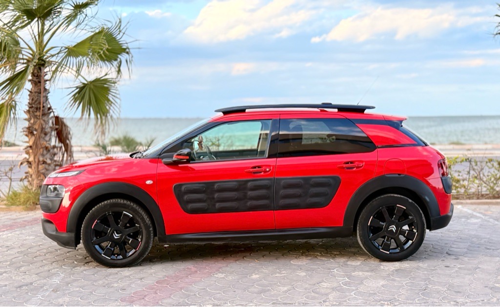 C 4 cactus 