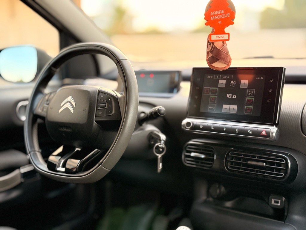 C 4 cactus 