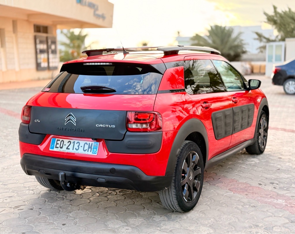 C 4 cactus 