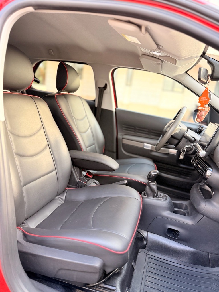 C 4 cactus 