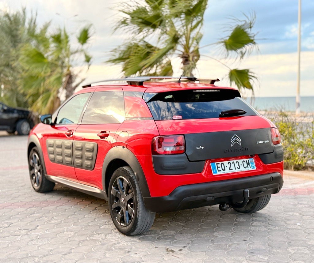 C 4 cactus 