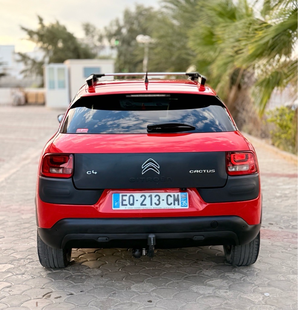 C 4 cactus 
