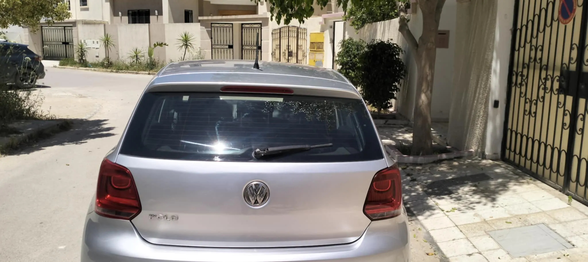 polo7