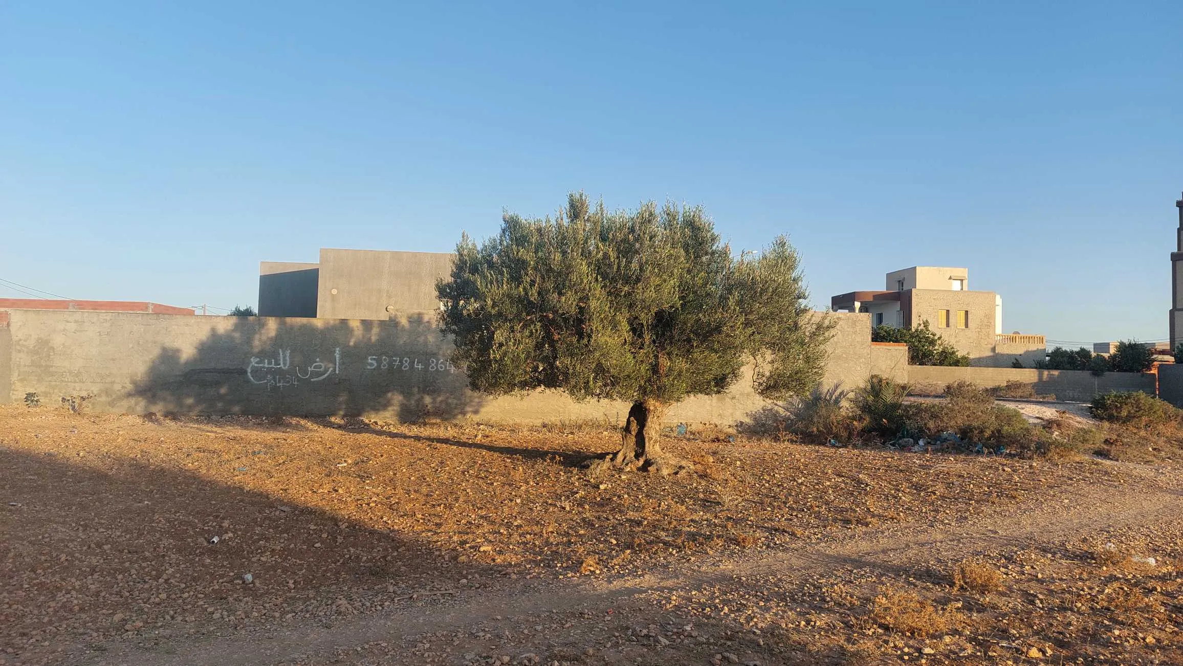 Terrain idéal pour construire la maison de votre rêve à la Chebba