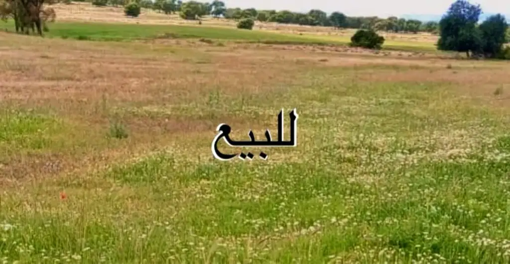 ارض فيها نقطة سنتاج ماء عذب