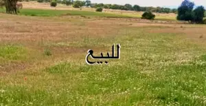 ارض فيها نقطة سنتاج ماء عذب