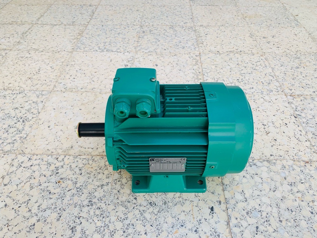 Moteur électrique asynchrone 