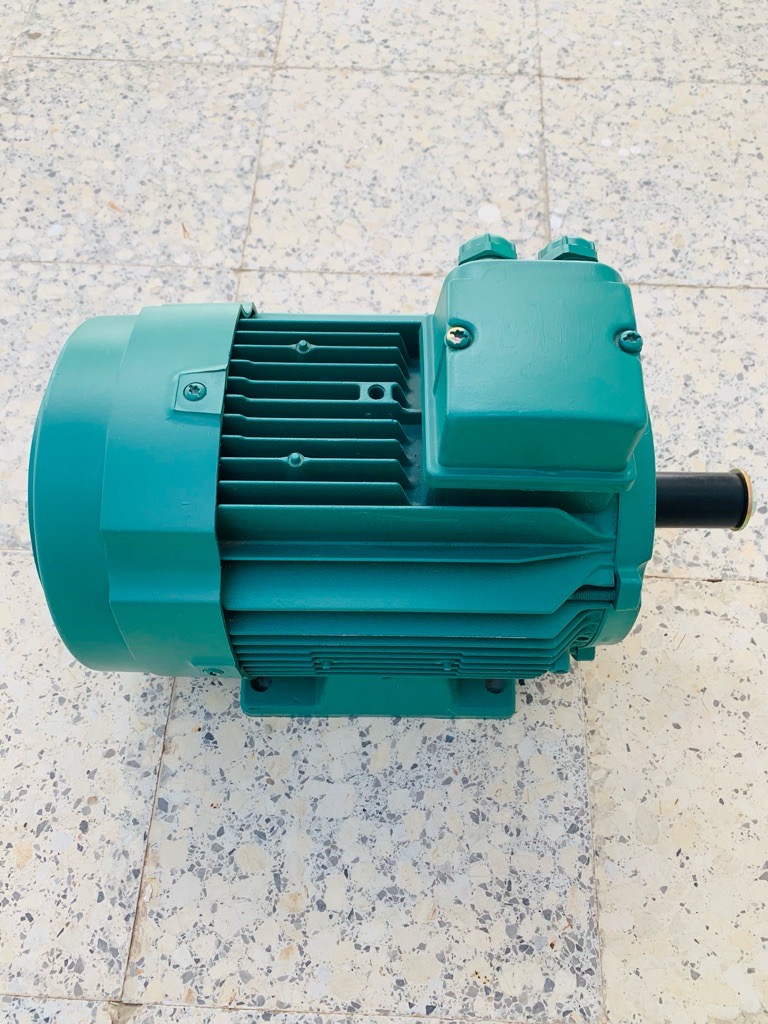 Moteur électrique asynchrone 
