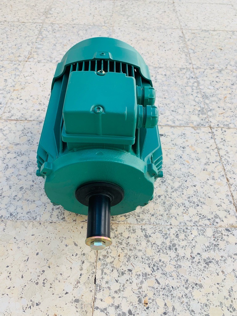 Moteur électrique asynchrone 