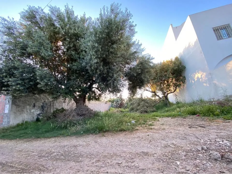 Lot de terrain de 250 m² à Hammamet à vendre 51355351